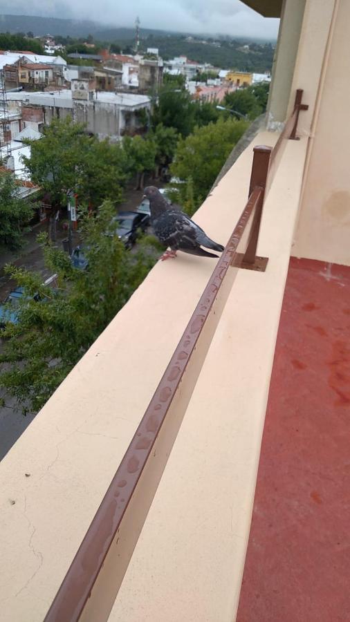 Apartamento Terraza *